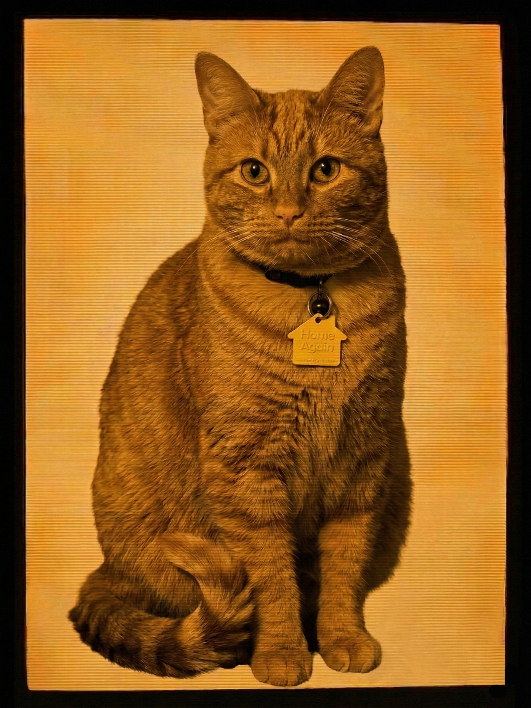 Seger